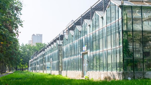 青年科研启航基金